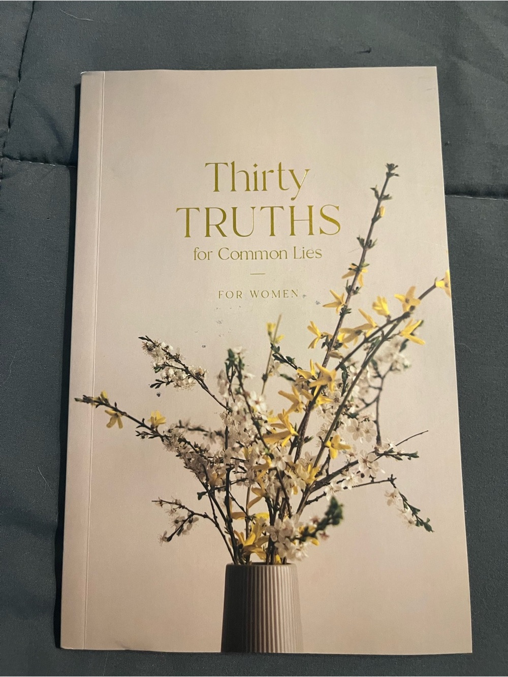 Thirty Truths for Common Lies - Floral Cover Daily Grace Co.
